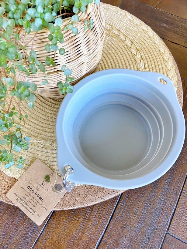 'Me Mother Earth' Collapsible Pet Bowl