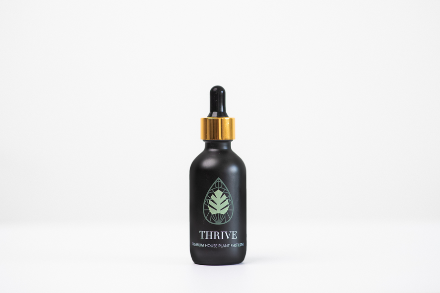 succulent vitamins Plant Vitamins' Thrive – Towne Goods